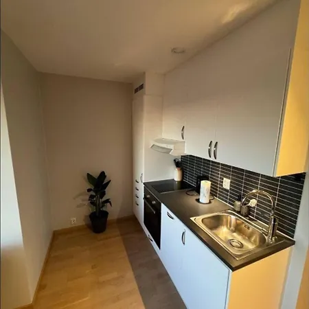 2Bedrooms Apartment 5Mins From Oslo Buss Terminal * 奥斯陆